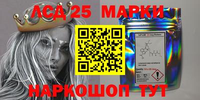 амф Можга