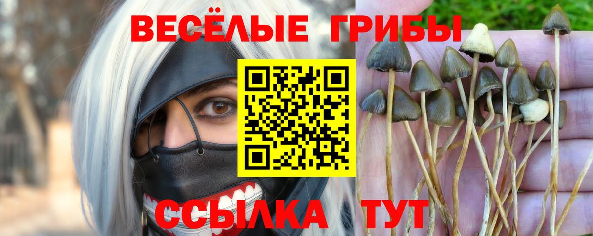 Галлюциногенные грибы мицелий Дальнегорск