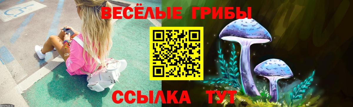 Дальнегорск  Галлюциногенные грибы мухоморы  Вход с VPN 